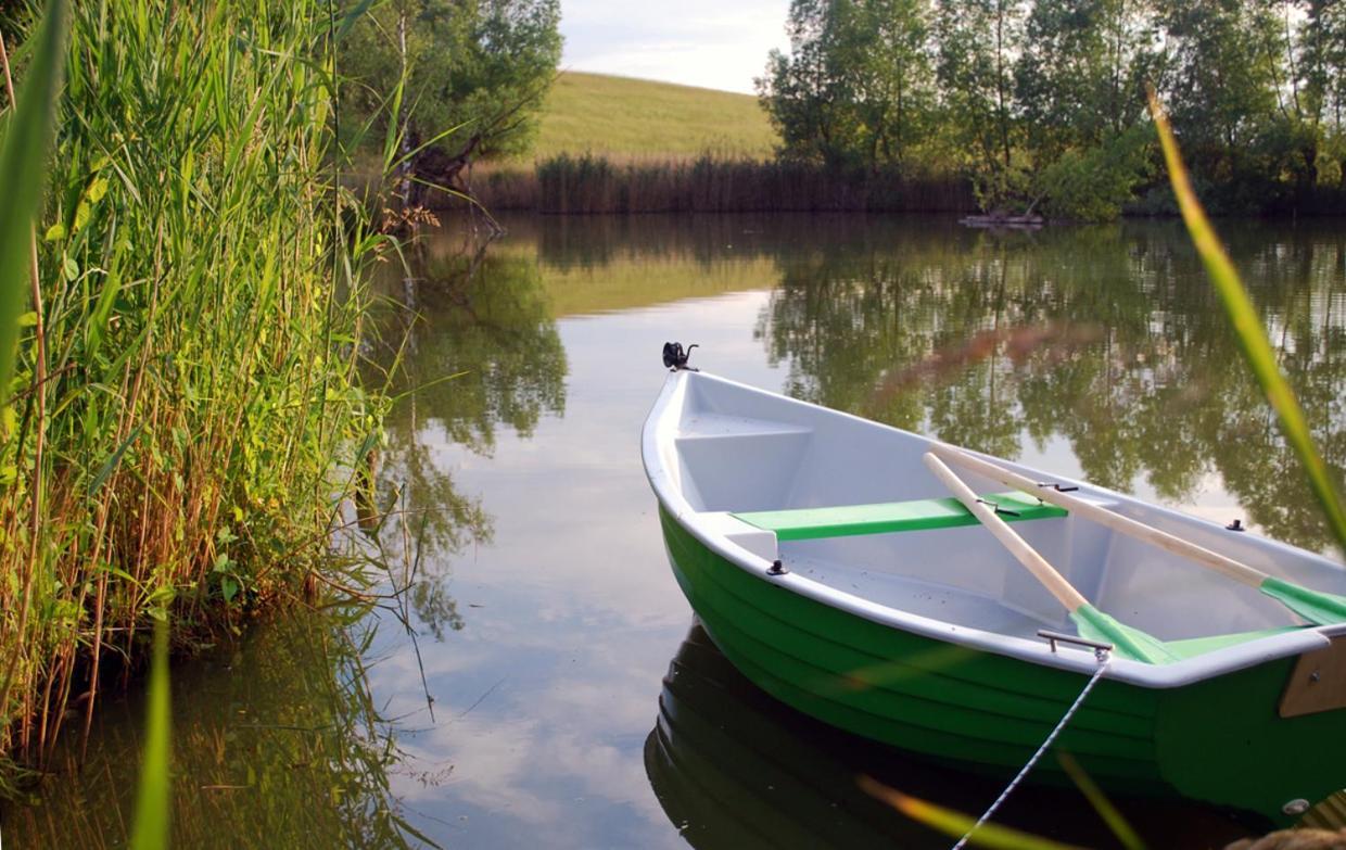 Domek nad Rozlewiskiem Kudowa-Zdrój Zewnętrze zdjęcie